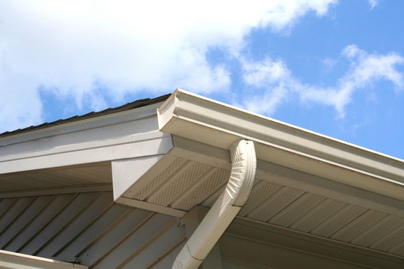 Box Gutter Replacement