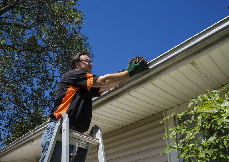 Professional Gutter Cleaning in Action